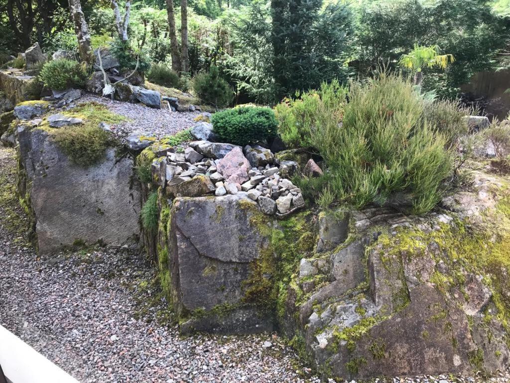 Tom Beag - Ben Nevis View Rooms Fort William Exterior photo