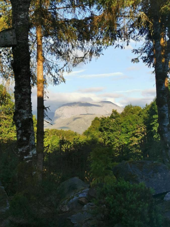 Tom Beag - Ben Nevis View Rooms Fort William Exterior photo
