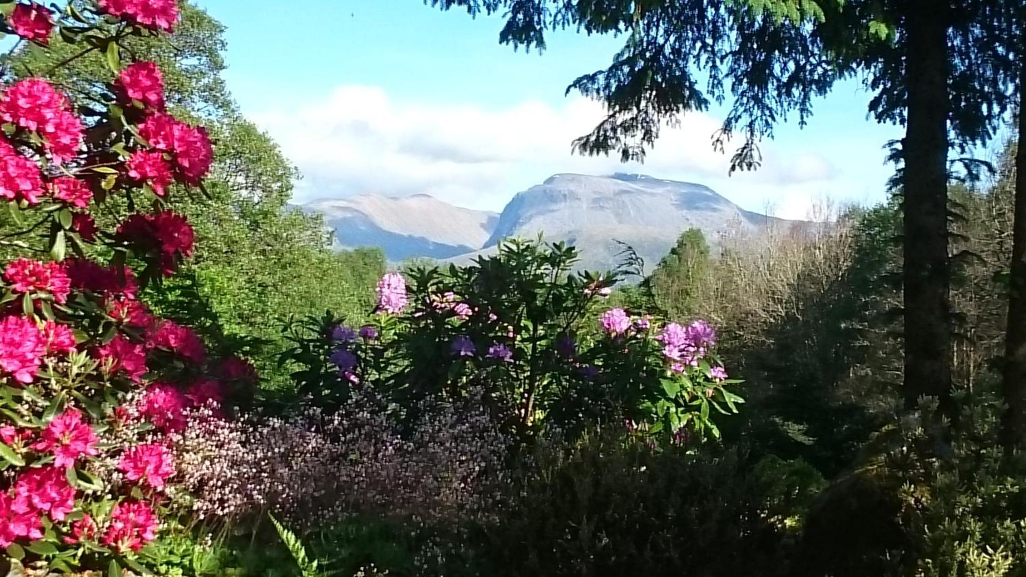 Tom Beag - Ben Nevis View Rooms Fort William Exterior photo